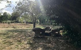 Maison Chaleureuse Et Calme